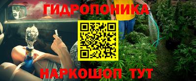 a pvp Гай
