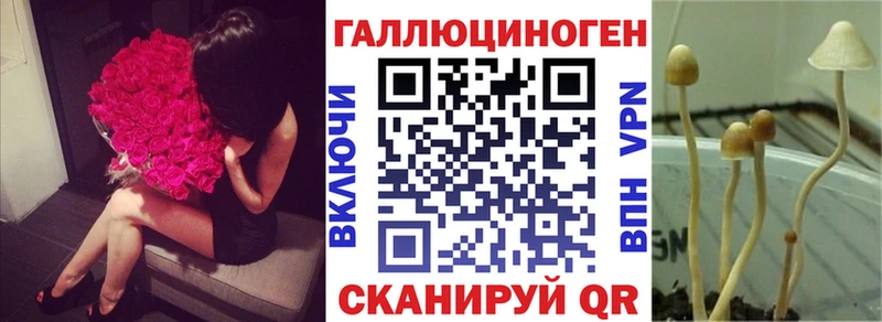 МЕГА сайт  где можно купить наркотик  Набережные Челны  Галлюциногенные грибы мухоморы 