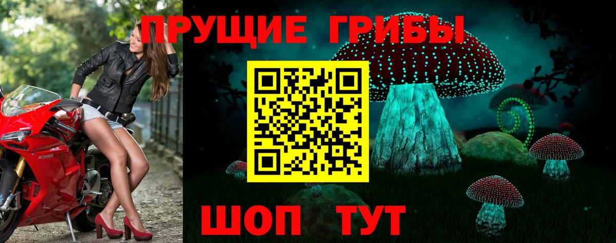 цена   Галлюциногенные грибы Psilocybe  Вход с VPN  Набережные Челны  Галлюциногенные грибы Cubensis 